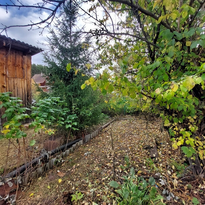 п. Колюткинский, снт. Березка-2 , уч. 47 (городской округ Белоярский) - фото сада (7)