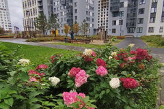 Екатеринбург, ул. Чемпионов, 15 (Солнечный) - фото квартиры