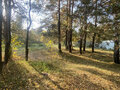 Продажа земельного участка: с. Патруши, ул. Заречная, 4 (городской округ Сысертский) - Фото 3
