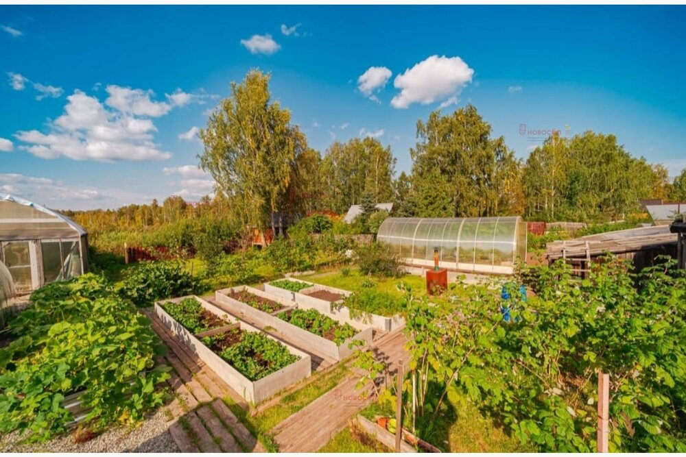 г. Березовский, СТ Озерный (городской округ Березовский) - фото сада (2)