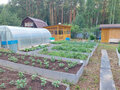 Продажа садового участка: г. Нижний Тагил, снт. Железнодорожник, уч. 86 (городской округ Нижний Тагил) - Фото 4