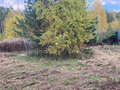 Продажа земельного участка: к.п. Марьино, ул. Рассветная (городской округ Среднеуральск) - Фото 2