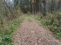 Продажа земельного участка: г. Заречный, ул. Муранитный (городской округ Заречный) - Фото 8