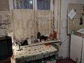 Продажа квартиры: д. Большое Седельниково, ул. Лесная, 1 (городской округ Сысертский) - Фото 7