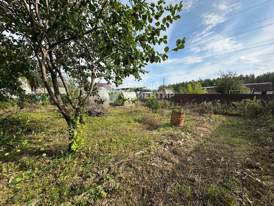 Екатеринбург, к/с Восход, уч. 6 - фото сада (2)