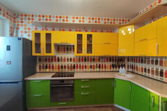 Екатеринбург, ул. Вильгельма де Геннина, 33 (Академический) - фото квартиры