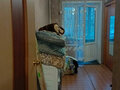 Продажа квартиры: г. Асбест, ул. Мира, 6/1 (городской округ Асбестовский) - Фото 4
