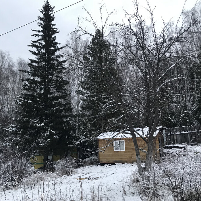 Екатеринбург, снт огнеупорщик-северный, уч. 3-88 - фото сада (2)