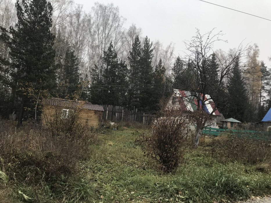 Екатеринбург, снт огнеупорщик-северный, уч. 3-88 - фото сада (4)