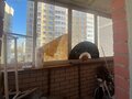 Аренда квартиры: Екатеринбург, ул. Кунарская, 12 (Старая Сортировка) - Фото 5