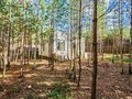 Продажа коттеджей: п. Сарапулка, ул. Радужная, 37 (городской округ Березовский) - Фото 3