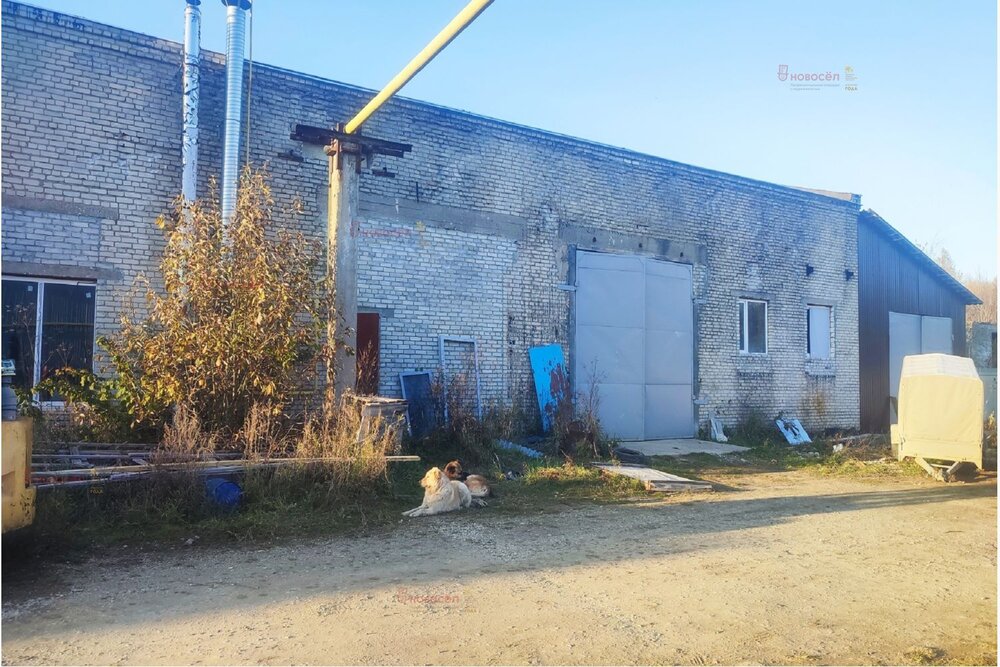 г. Дегтярск, ул. территория Объездная дорога, 8 (городской округ Город Дегтярск) - фото промышленного объекта (4)