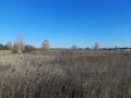 Продажа земельного участка: с. Бруснятское, ул. Заречная, 10 (городской округ Белоярский) - Фото 3