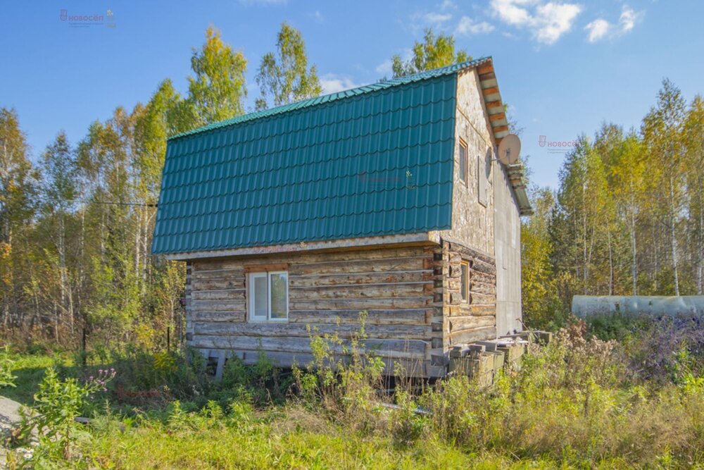 п. Красный, СНТ Учитель (городской округ Верхняя Пышма) - фото сада (2)