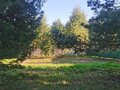 Продажа земельного участка: с. Кунгурка, ул. Благославная (городской округ Ревда) - Фото 5