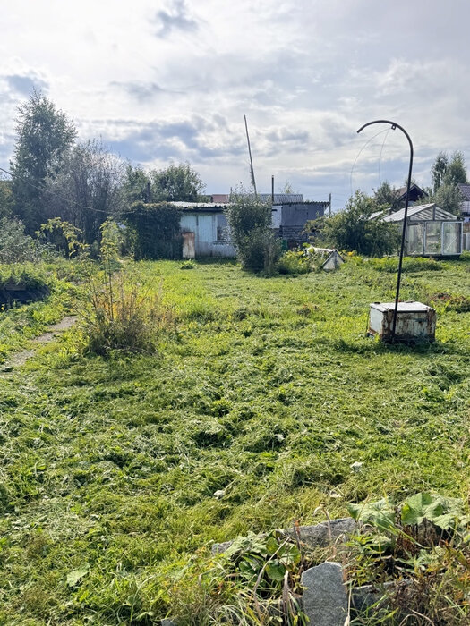 Екатеринбург, СНТ Луч (Горный щит) - фото сада (1)