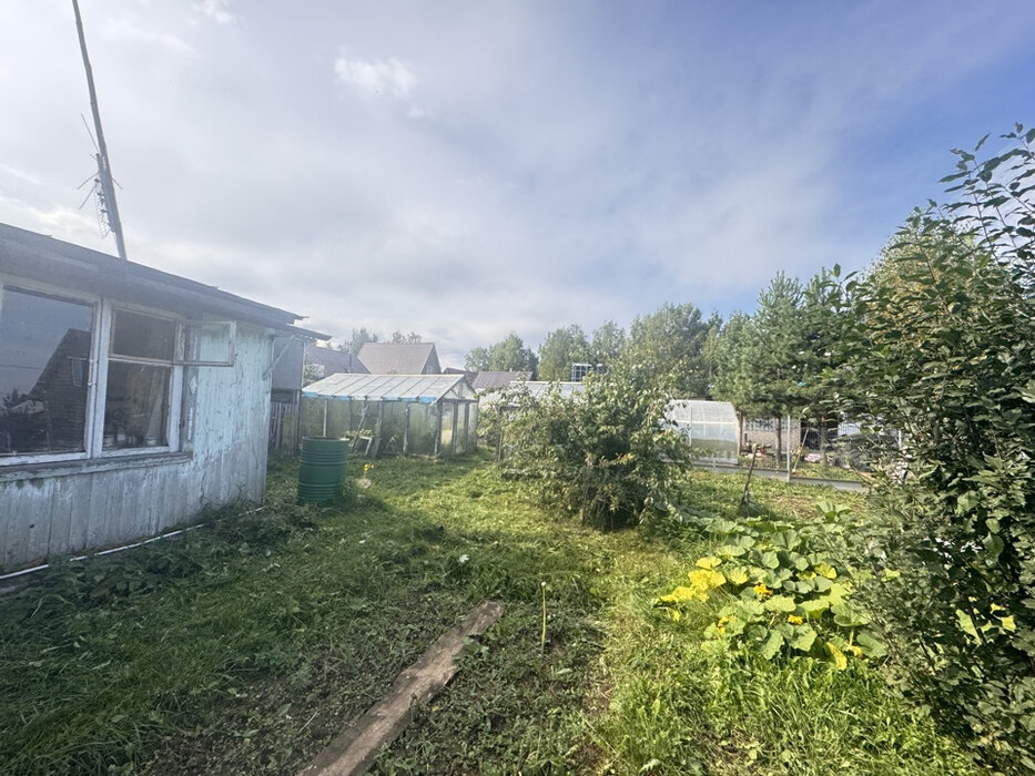 Екатеринбург, СНТ Луч (Горный щит) - фото сада (5)