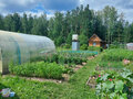 Продажа садового участка: п. Лосиный, к/с Спутник (городской округ Березовский) - Фото 6