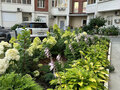 Продажа квартиры: Екатеринбург, ул. Радищева, 31 (Центр) - Фото 1
