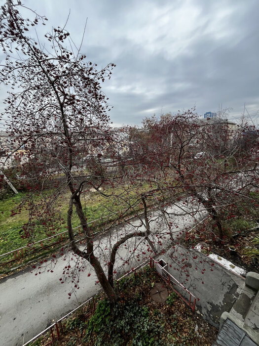 Екатеринбург, ул. Новосибирская, 109 (Вторчермет) - фото квартиры (7)