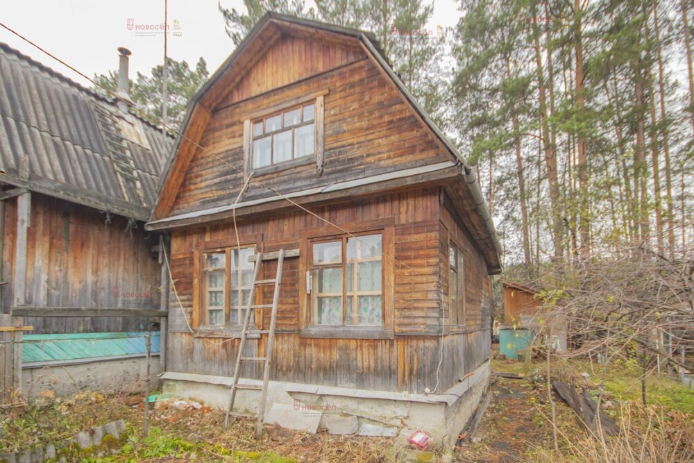 Екатеринбург, коллективный сад Резинщик - фото сада (2)