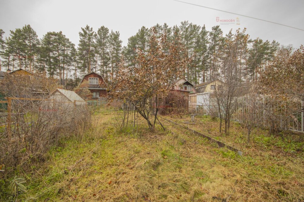 Екатеринбург, коллективный сад Резинщик - фото сада (3)