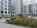 Аренда квартиры: Екатеринбург, ул. Мира, 47/2 (Втузгородок) - Фото 2
