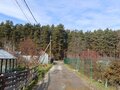 Продажа садового участка: г. Березовский, колл.сад №8 (городской округ Березовский) - Фото 6