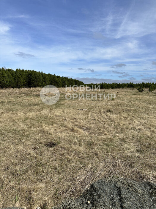 к.п. Бобровские дачи, ул. Каштановая, 36 (городской округ Сысертский) - фото земельного участка (3)