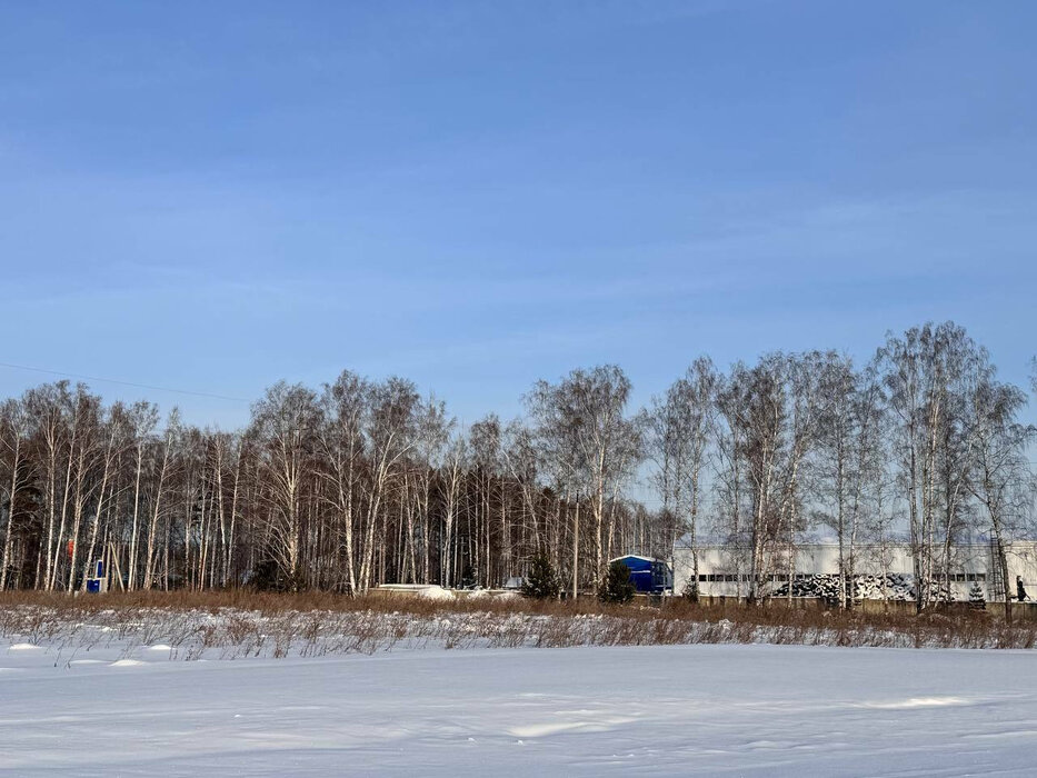 п. Прохладный, ул. Индустриальная (городской округ Белоярский) - фото земельного участка (4)