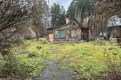 Екатеринбург, с/т "Прогресс", уч.№44 - фото сада