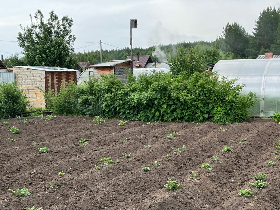 г. Реж, коллективный сад 