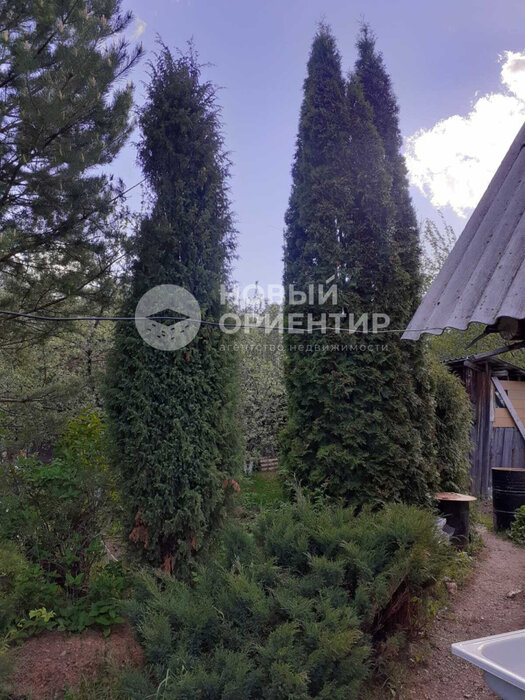 с. Курганово, СНТ Берендей (городской округ Полевской) - фото сада (1)