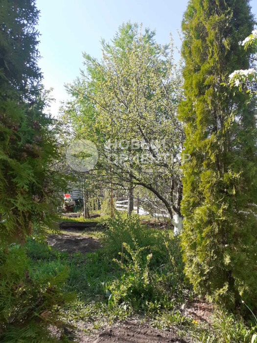 с. Курганово, СНТ Берендей (городской округ Полевской) - фото сада (2)