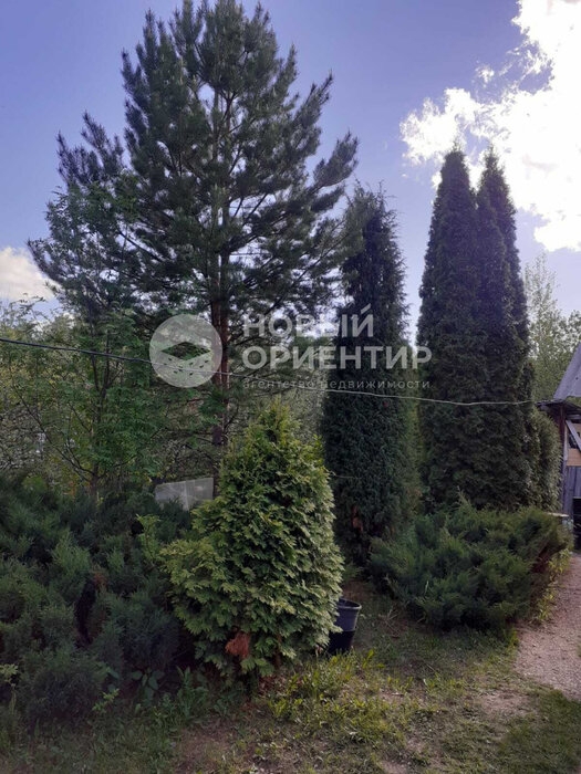 с. Курганово, СНТ Берендей (городской округ Полевской) - фото сада (3)