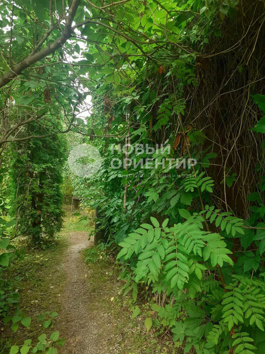 с. Курганово, СНТ Берендей (городской округ Полевской) - фото сада (4)