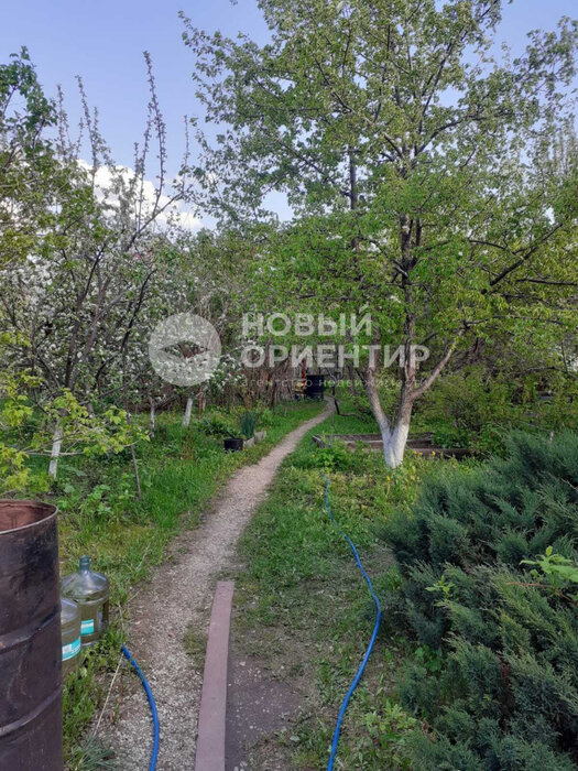 с. Курганово, СНТ Берендей (городской округ Полевской) - фото сада (5)