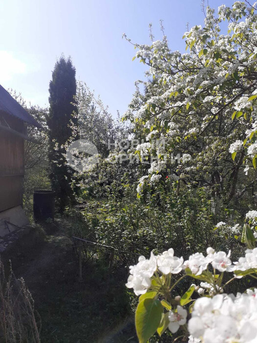 с. Курганово, СНТ Берендей (городской округ Полевской) - фото сада (7)