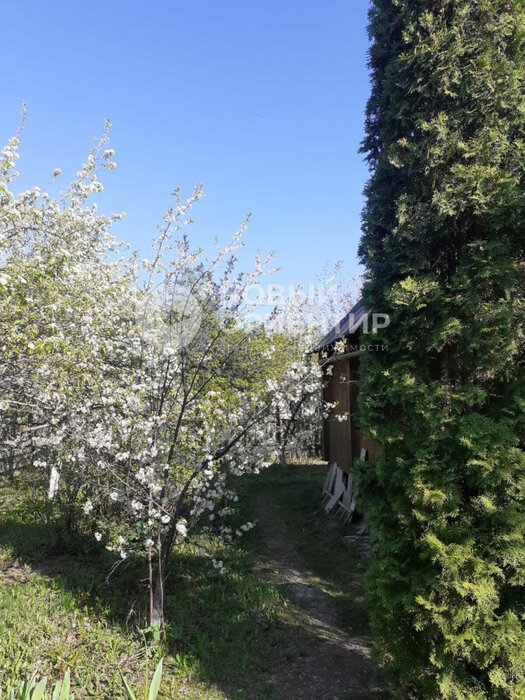 с. Курганово, СНТ Берендей (городской округ Полевской) - фото сада (8)