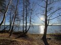 Продажа земельного участка: п. Ромашка, ул. Озерная, 2 (городской округ Верхняя Пышма) - Фото 5