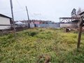 Продажа садового участка: п. Кедровка, кс № 23 Юбилейный (городской округ Березовский) - Фото 7
