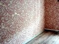 Продажа квартиры: с. Кленовское, ул. Ленина, 43 (Нижнесергинский район) - Фото 2