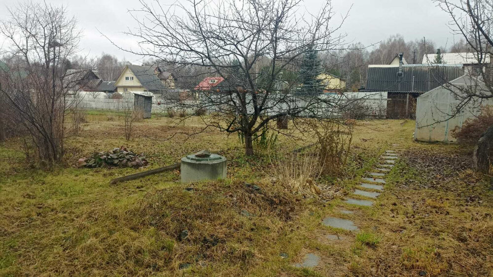 с. Новоалексеевское, СНТ Рябинушка, ул. рябинушка трактовая, 25 (городской округ Первоуральск) - фото сада (14)