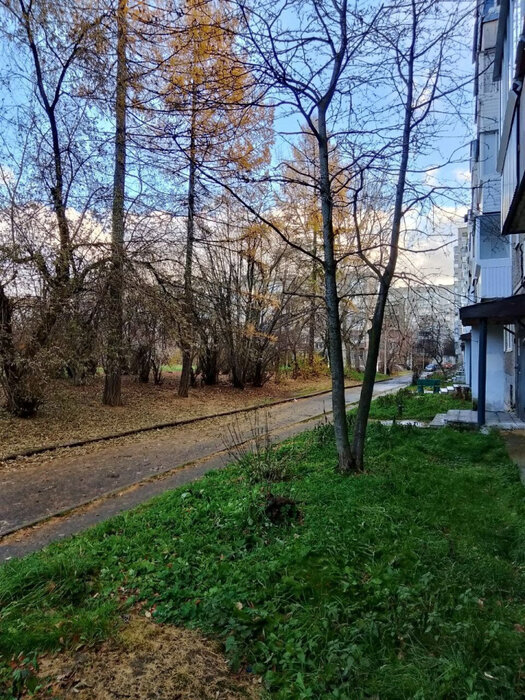 г. Нижний Тагил, ул. Юности, 29 (городской округ Нижний Тагил) - фото квартиры (3)