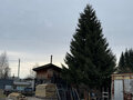 Продажа дома: Екатеринбург, ул. Новоселов, 4 (Горный щит) - Фото 8