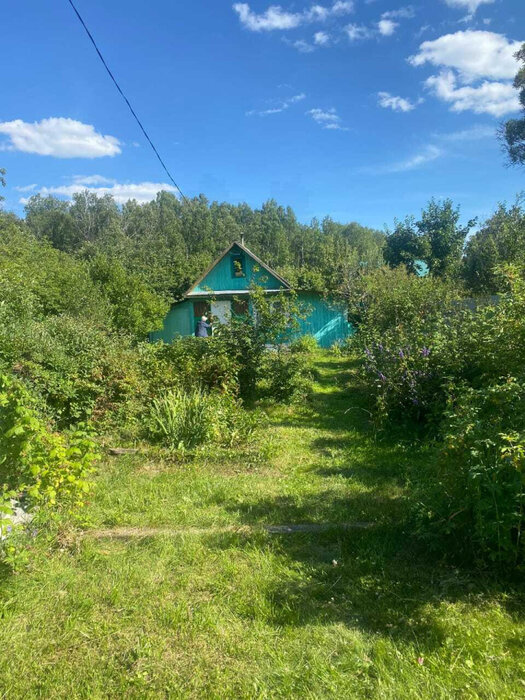Екатеринбург, СНТ Межгорье (Рудный) - фото сада (1)