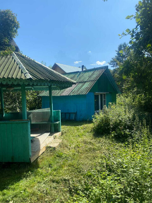 Екатеринбург, СНТ Межгорье (Рудный) - фото сада (6)
