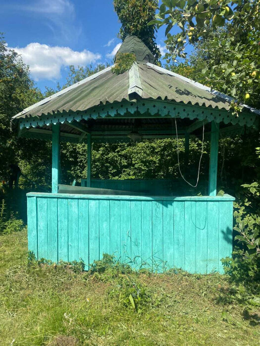 Екатеринбург, СНТ Межгорье (Рудный) - фото сада (7)