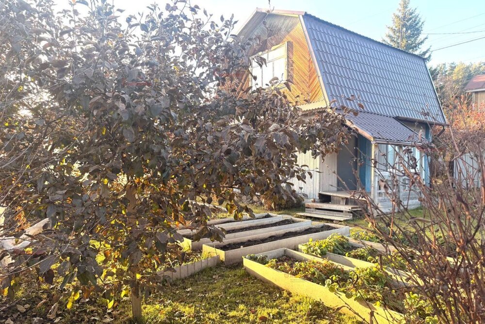 п. Бобровка, СТ Рябинушка (городской округ Белоярский) - фото сада (5)