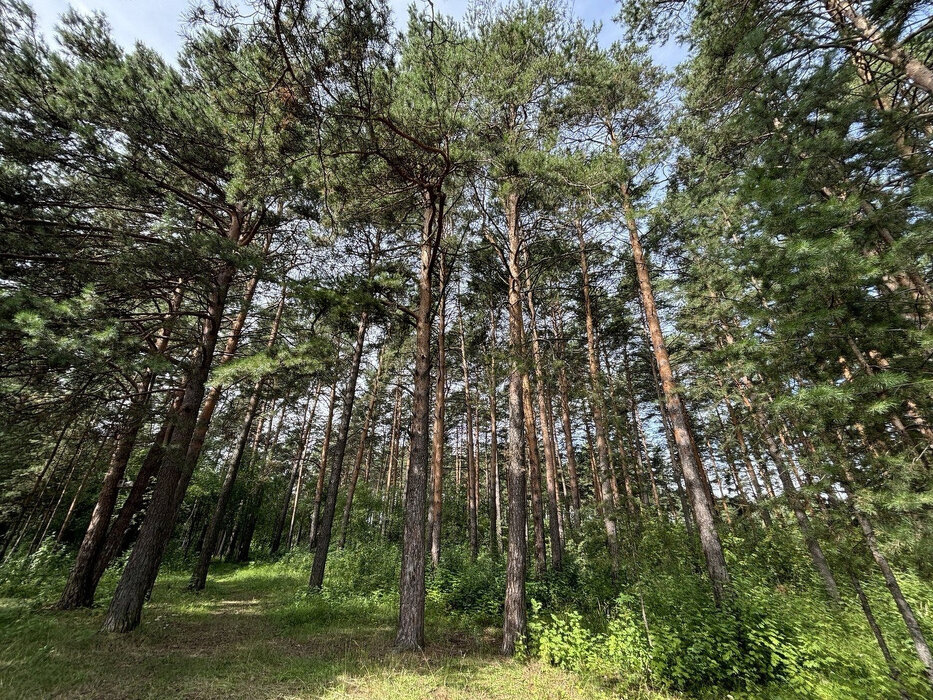 г. Березовский, ул. поселок 2-й Карьер, 26А (городской округ Березовский) - фото коттеджа/дома/дачи (4)